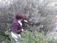 /album/galeria-de-fotos-galeria-de-fotos/img-20141112-165229-jpg1/