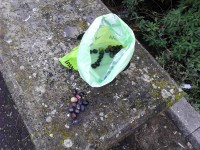 /album/galeria-de-fotos-galeria-de-fotos/img-20141112-165251-jpg1/