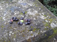 /album/galeria-de-fotos-galeria-de-fotos/img-20141112-165318-jpg1/