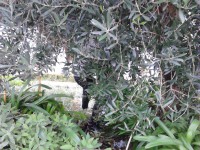 /album/galeria-de-fotos-galeria-de-fotos/img-20141112-165329-jpg1/