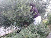 /album/galeria-de-fotos-galeria-de-fotos/img-20141112-165807-jpg1/