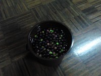 /album/galeria-de-fotos-galeria-de-fotos/img-20141112-172518-jpg1/